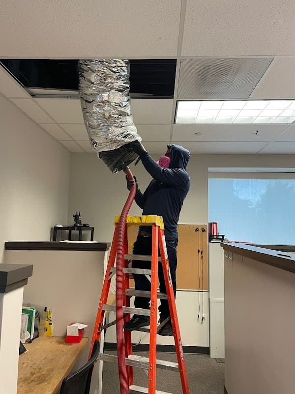 Air Quality Express - Rodent Control in The Woodlands