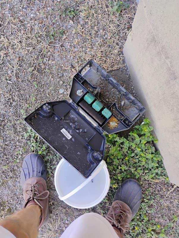 Ajax Exterminating - Termite Control in Houston