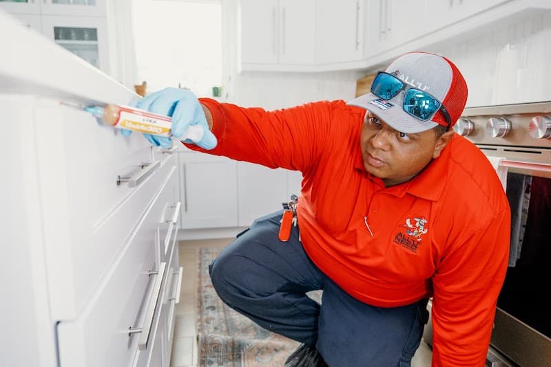 All U Need Pest Control - General Pest Control in Cypress