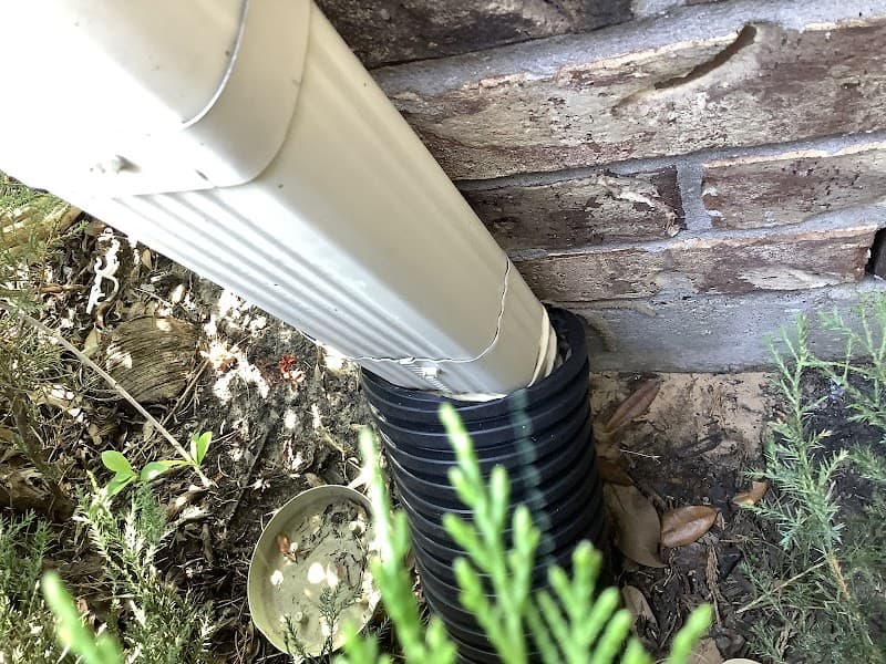 Alli Pest Control - General Pest Control in The Woodlands