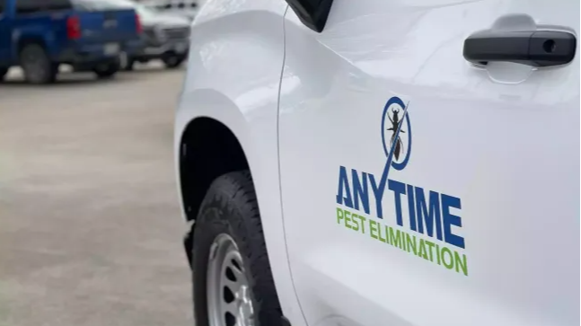 Anytime Pest Elimination Richmond - General Pest Control in Richmond