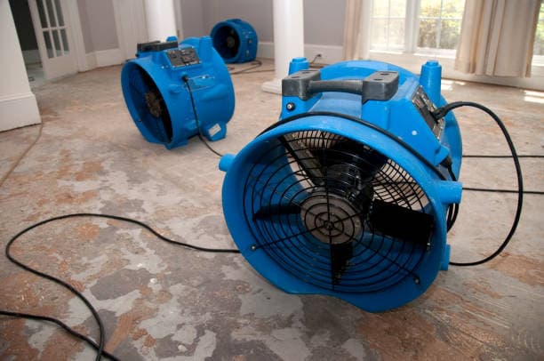 BAM Houston Water Damage Restorations - Rodent Control in Houston