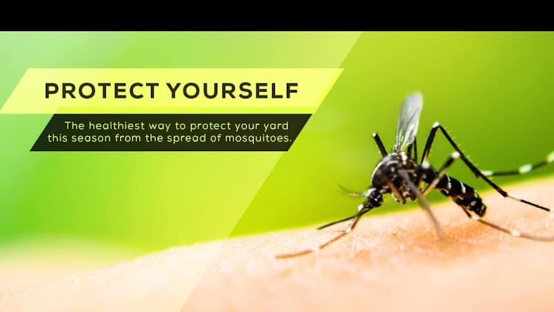 Barefoot Mosquito & Pest Control - Richmond TX - Mosquito Control in Richmond