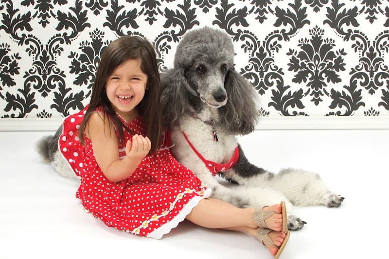 Beverly's Touch of Class Groom - General Pest Control in Pearland