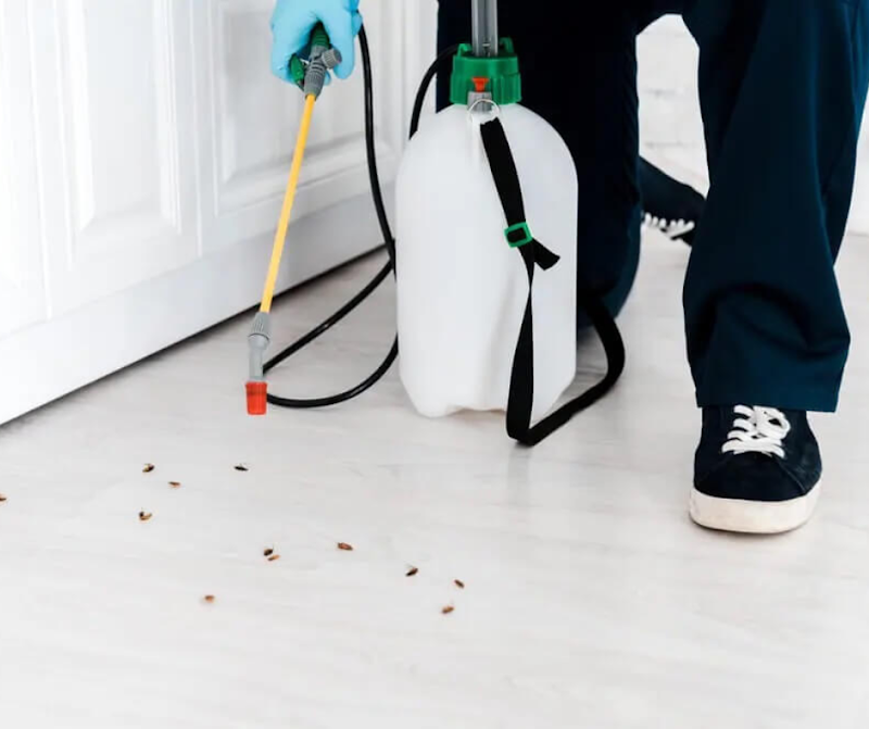 Bevis Pest Control - General Pest Control in Texas City