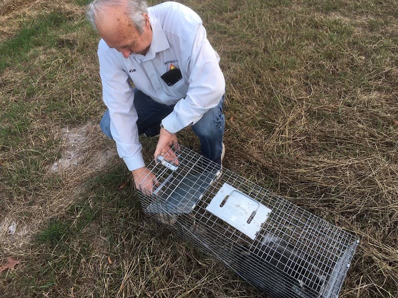 Bryant's Pest Control - Termite Control in Houston