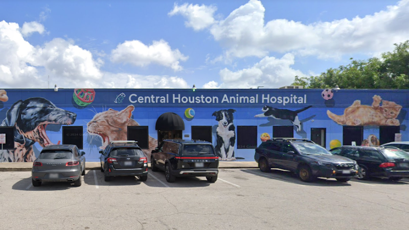 Central Houston Animal Hospital - Wildlife Removal in Houston