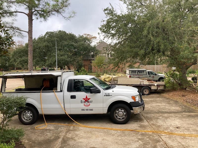 Eco Pest - General Pest Control in Webster