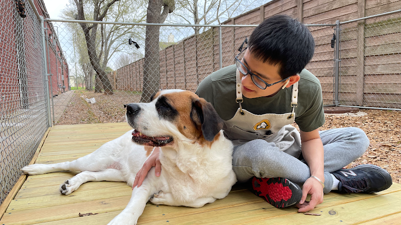 Fantasy Pet Grooming Boarding & Daycare - General Pest Control in Missouri City