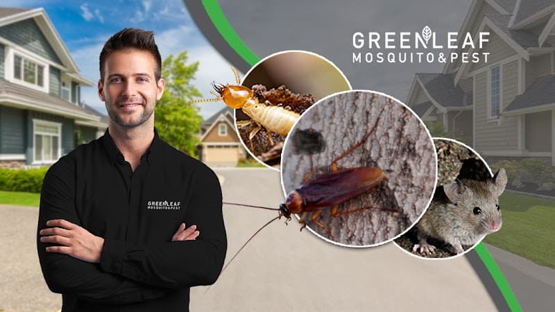 GreenLeaf Mosquito & Pest - Mosquito Control in Houston