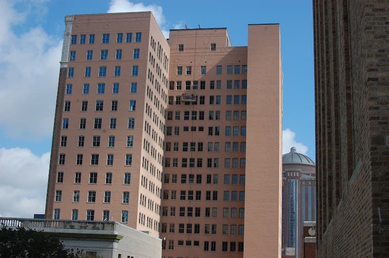 Houston Bat Removal - Wildlife Removal in Houston