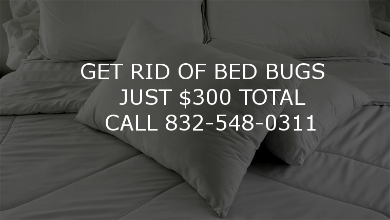 Kill Bed Bugs Houston - Bed Bug Treatment in Katy