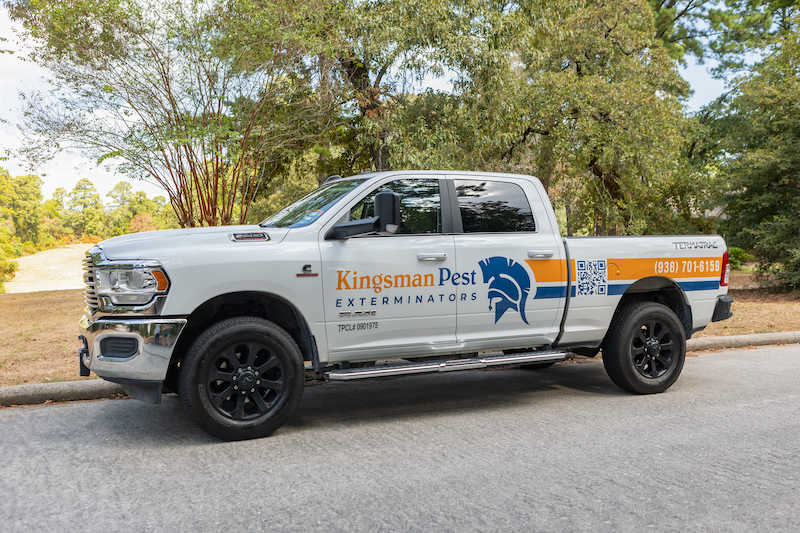Kingsman Pest Exterminators - General Pest Control in The Woodlands