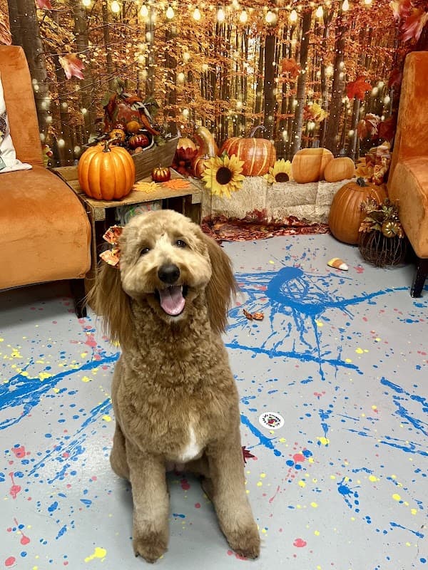 Kreativ Pet Klips - General Pest Control in Sugar Land