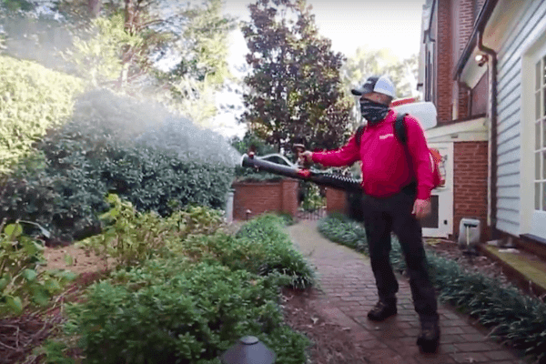 Mosquito Authority - Mosquito Control in Houston
