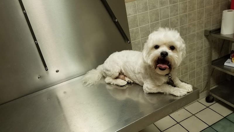 North Loop Pet Clinic - General Pest Control in Houston