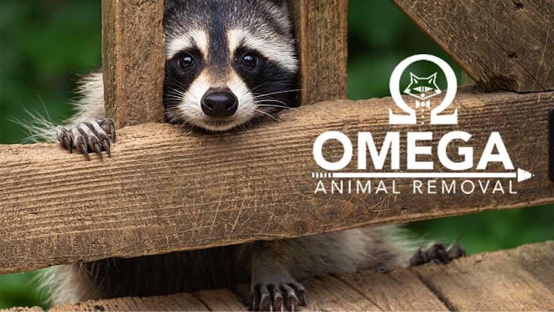 Omega Animal Removal Houston - Wildlife Removal in Houston
