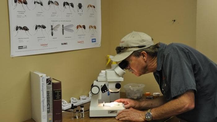 Rasberry's Pest Professionals - General Pest Control in Pearland