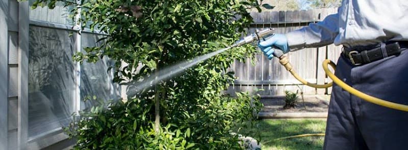 Reliant Pest Management - General Pest Control in Tomball