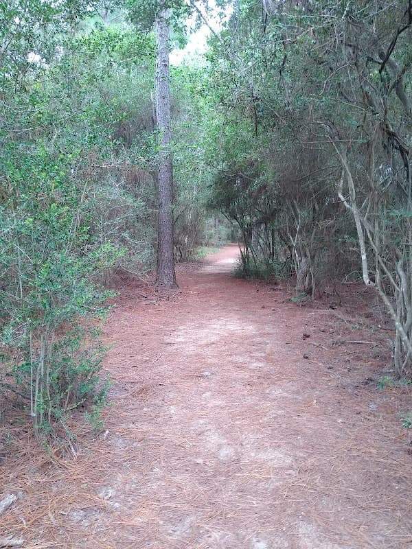 Seabrook Wildlife Refuge and Park - Wildlife Removal in Seabrook