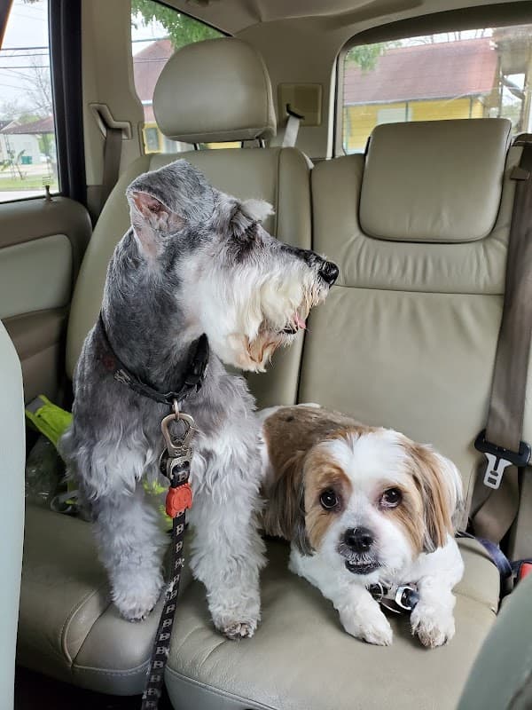 Snoopy's Corner Dog Grooming - General Pest Control in Seabrook