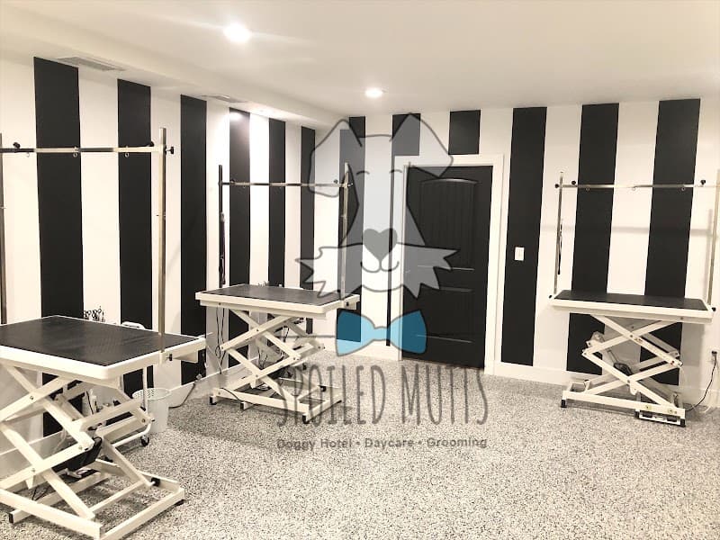 Spoiled Mutts - General Pest Control in Humble