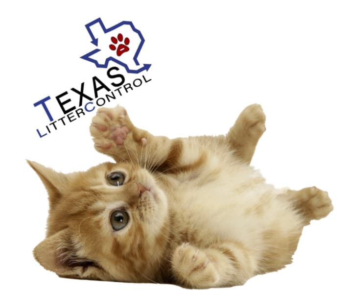 Texas Litter Control - General Pest Control in Spring