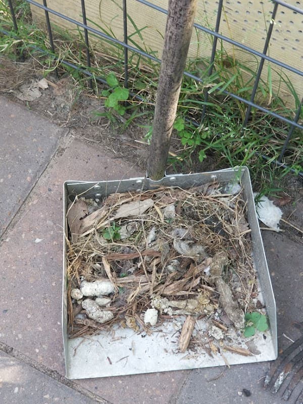 Texas Pet Waste Solutions | Pet Waste Removal - General Pest Control in Houston