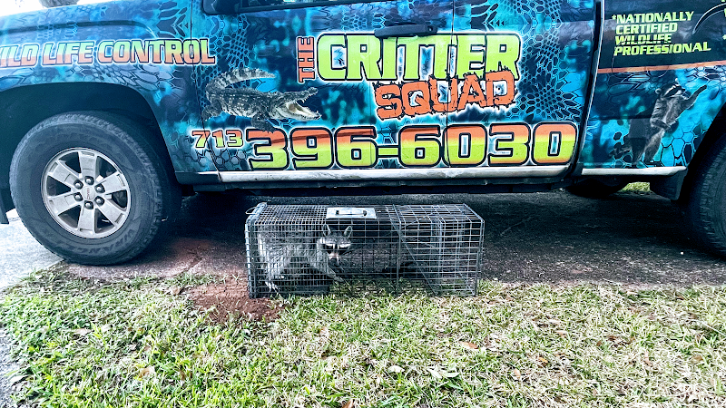 The Critter Squad Inc. - Wildlife Removal in Missouri City