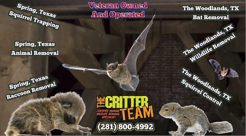The Critter Team - Wildlife Removal in Spring