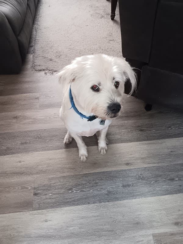 Willow Creek Ranch of Tomball - General Pest Control in Tomball