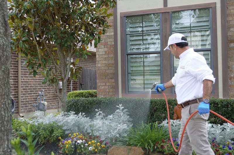 Zorro Pest Control - Termite Control in Cypress