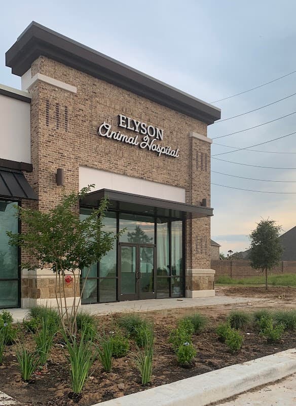 Elyson Animal Hospital - Wildlife Removal in Katy