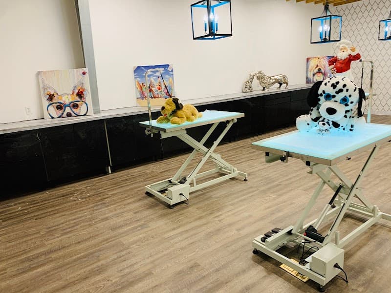 Pets Gone Wild Grooming LLC - General Pest Control in Pasadena