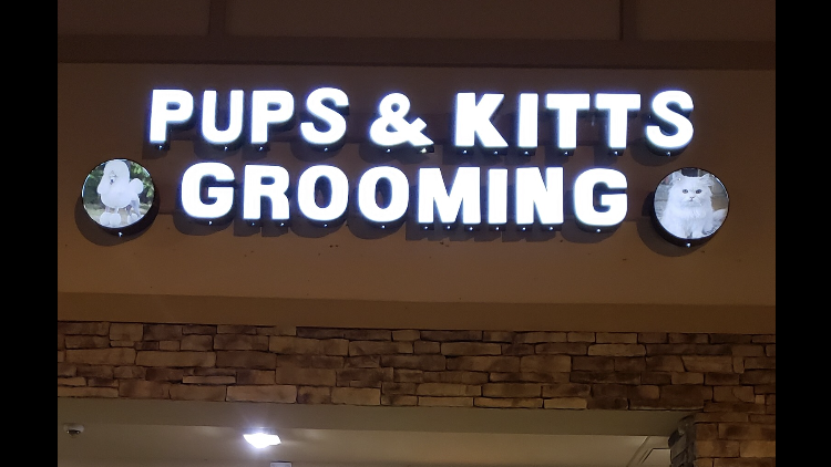 PUPS & KITTS GROOMING & BOARDING - General Pest Control in Sugar Land